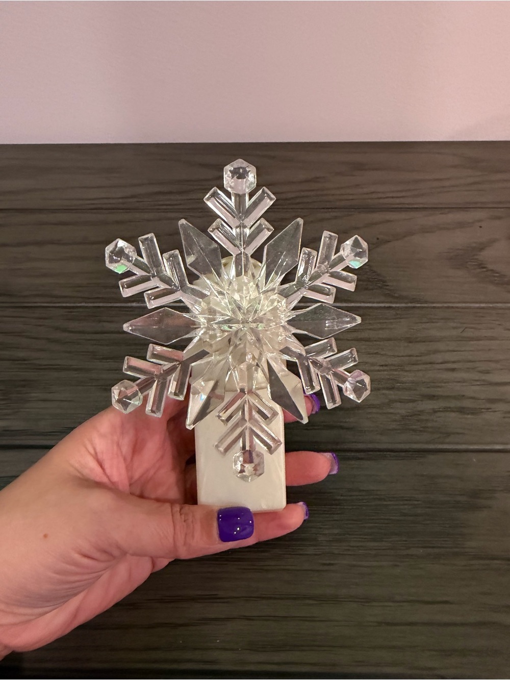 Bath & Body Works Wallflower Plug